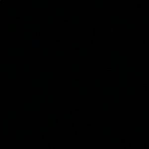 Meet your Posher, Shaina